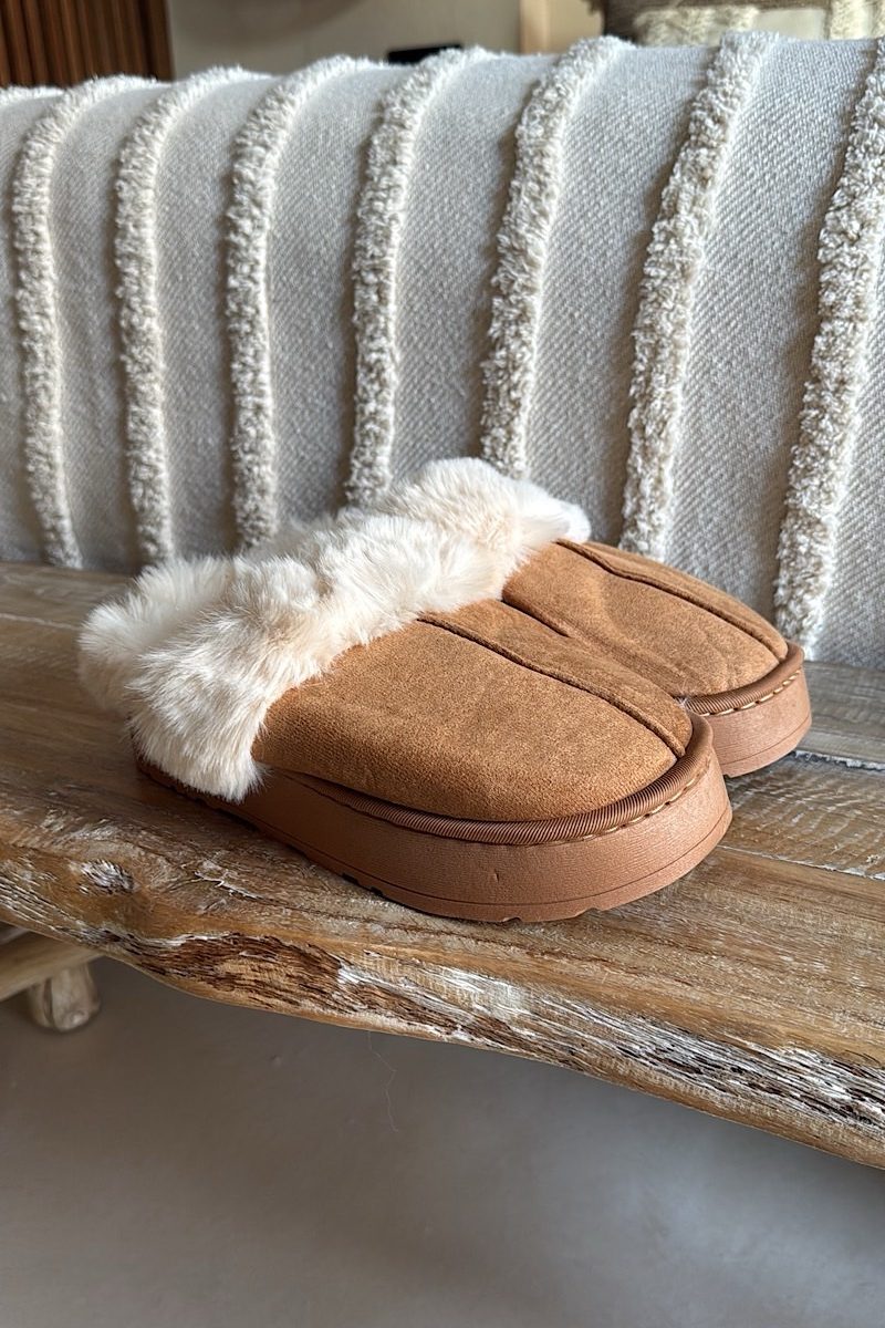 Zapatilla Camel Home