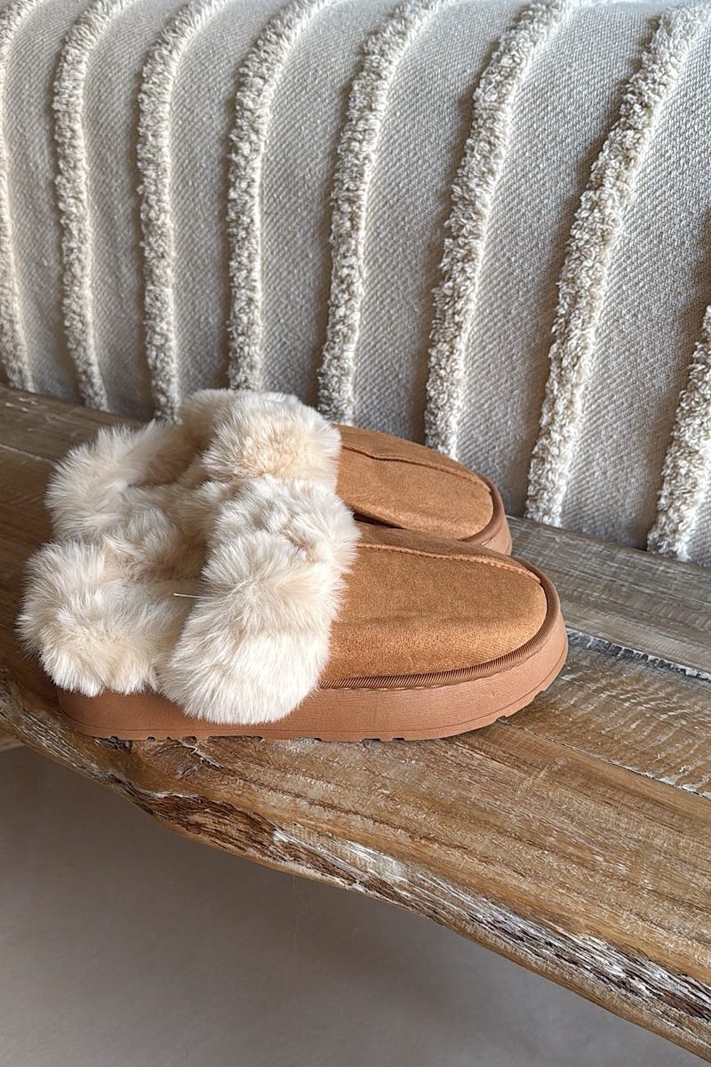 Zapatilla Camel Home