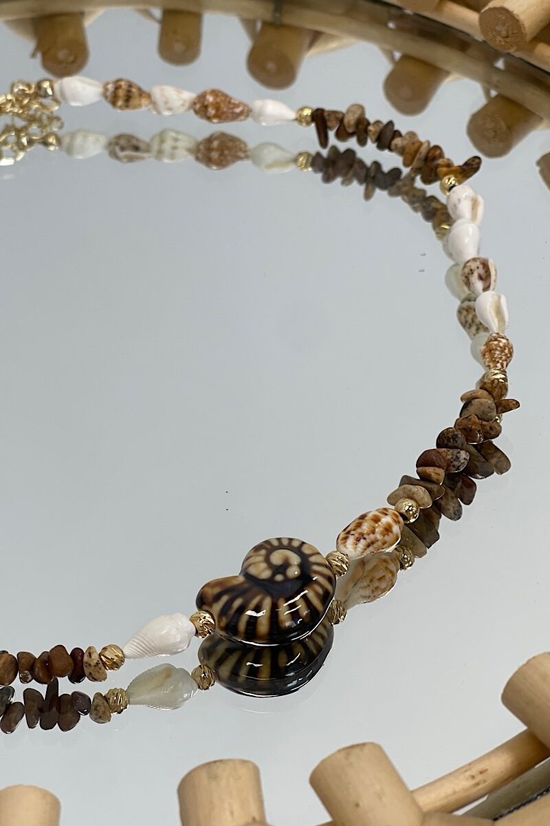 Collar Brown Snail