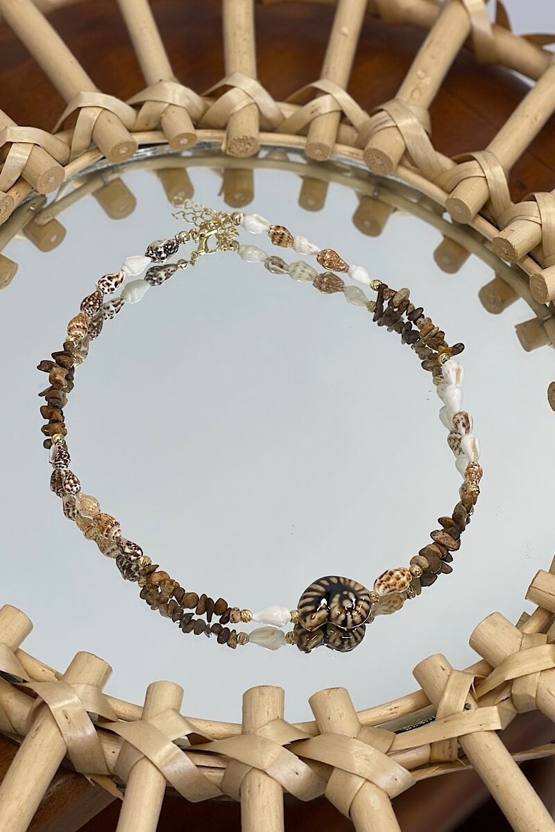 Collar Brown Snail